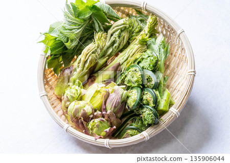 各種野生蔬菜：楤木芽、小莧菜、越紫莧菜和蜂斗菜。 135906044