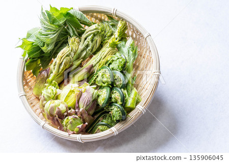 Assorted wild vegetables: taros, kogomi, koshiabura, and butterbur Assorted wild vegetables: taros, kogomi, koshiabura, and butterbur 135906045