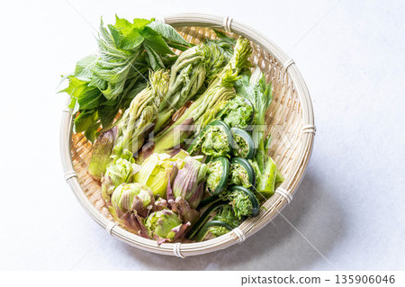 各種野生蔬菜：楤木芽、小莧菜、越紫莧菜和蜂斗菜。 135906046