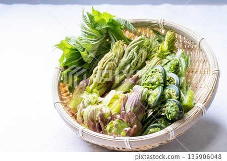 各種野生蔬菜：楤木芽、小莧菜、越紫莧菜和蜂斗菜。 135906048