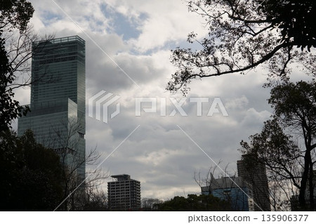 View of the Abeno Harukas area from Chausuyama 135906377