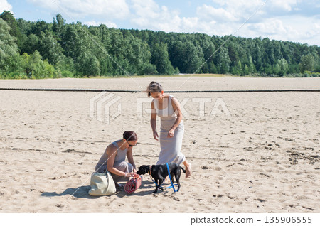 Two Caucasian women walking on the beach with a dog. Two Caucasian women walking on the beach with a dog. 135906555