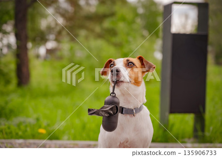 Adorable Dog with Waste Bag Ready for a Walk.  135906733