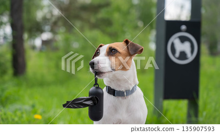 Adorable Dog with Waste Bag Ready for a Walk. Adorable Dog with Waste Bag Ready for a Walk. 135907593