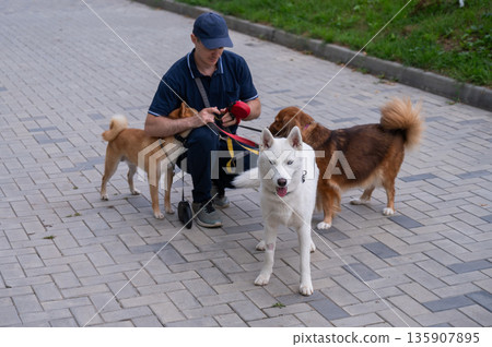 A man walks three different dogs. 135907895