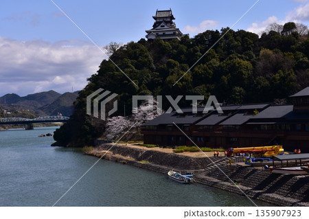 日本愛知縣犬山市-春季,犬山城與盛開的櫻花交相輝映。一艘觀光船停泊在木曾川岸邊,等待遊客登船。 日本愛知縣犬山市-春季,犬山城與盛開的櫻花交相輝映。一艘觀光船停泊在木曾川岸邊,等待遊客登船。 135907923