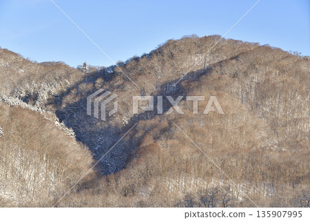 Photographing snowy mountain forest scenery in Assabe, Hokkaido in winter 135907995