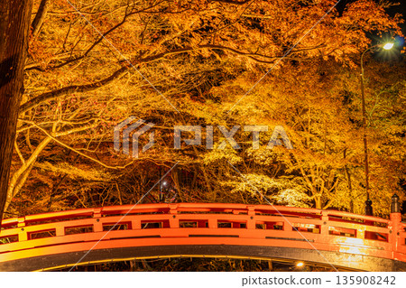 Autumn foliage at Oguni Shrine, Ichinomiya, Totomi Province, Morimachi (Shizuoka Prefecture) 135908242