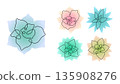 Set of Echeveria icons. Succulent variations. 135908276