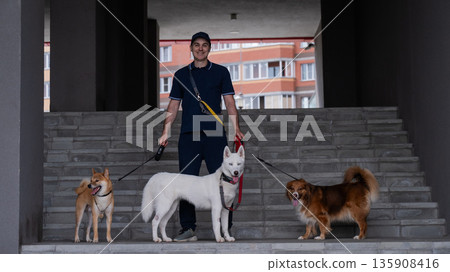 A man walks three different dogs. 135908416