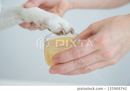The owner puts wax on the dog's paws. The owner puts wax on the dog's paws. 135908742