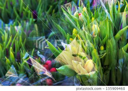 Close up of wrapped tulip bouquets with green leaves and yellow blooms under clear plastic packaging 135909468