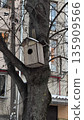 Charming Wooden Birdhouse Nestled in a Tree 135909566