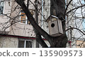 Charming Wooden Birdhouse Nestled in a Leafless Tree 135909573