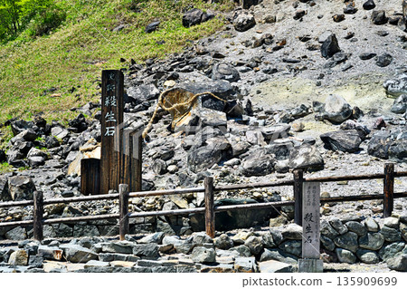 Nasu Onsen - Killing Stone (Spring, May) 135909699