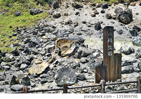 Nasu Onsen - Killing Stone (Spring, May) Nasu Onsen - Killing Stone (Spring, May) 135909700
