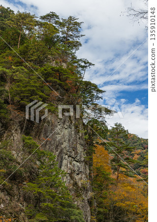 The cliffs and autumn foliage of the Kurofuchi cliffs of Sandankyo, a gorge in Akiota Town, Yamagata County, Hiroshima Prefecture, Japan The cliffs and autumn foliage of the Kurofuchi cliffs of Sandankyo, a gorge in Akiota Town, Yamagata County, Hiroshima Prefecture, Japan 135910148