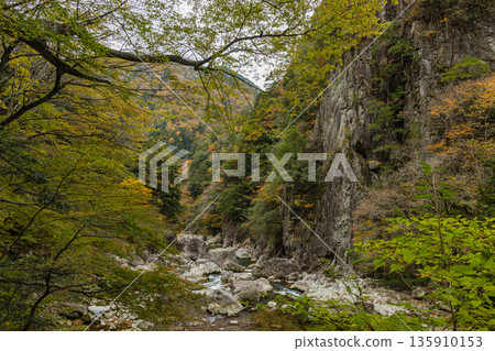 The rocky cliffs and autumn foliage of the Kurofuchi canyon in Sandankyo, a gorge in Akiota Town, Yamagata County, Hiroshima Prefecture, Japan The rocky cliffs and autumn foliage of the Kurofuchi canyon in Sandankyo, a gorge in Akiota Town, Yamagata County, Hiroshima Prefecture, Japan 135910153