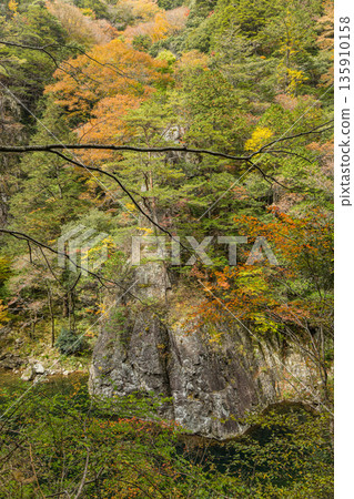 The rocky cliffs and autumn foliage of the Kurofuchi canyon in Sandankyo, a gorge in Akiota Town, Yamagata County, Hiroshima Prefecture, Japan The rocky cliffs and autumn foliage of the Kurofuchi canyon in Sandankyo, a gorge in Akiota Town, Yamagata County, Hiroshima Prefecture, Japan 135910158