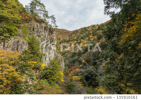 日本廣島縣山形郡秋田町三段峽黑淵峽谷的岩石峭壁和秋季紅葉 135910161