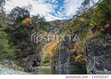 從日本廣島縣山形郡秋田町三段峽黑淵的渡輪上可以欣賞到岩石峭壁和秋葉美景。 從日本廣島縣山形郡秋田町三段峽黑淵的渡輪上可以欣賞到岩石峭壁和秋葉美景。 135910187