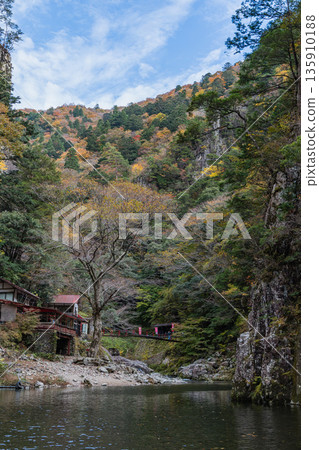 View of the rock cliffs and autumn foliage from the ferry at Kurofuchi in Sandankyo, a gorge in Akiota Town, Yamagata County, Hiroshima Prefecture, Japan 135910188