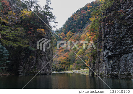 從日本廣島縣山形郡秋田町三段峽黑淵的渡輪上可以欣賞到岩石峭壁和秋葉美景。 135910190