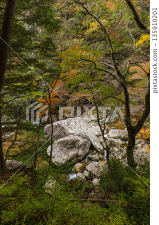 Autumn leaves along the Kurofuchi River in Sandankyo, a gorge in Akiota Town, Yamagata County, Hiroshima Prefecture, Japan Autumn leaves along the Kurofuchi River in Sandankyo, a gorge in Akiota Town, Yamagata County, Hiroshima Prefecture, Japan 135910201