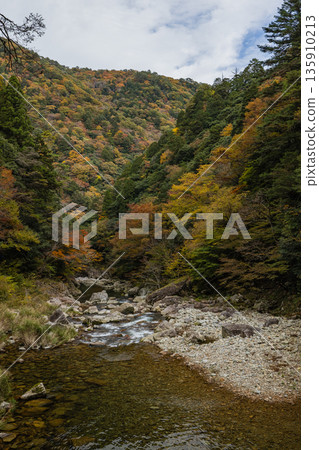 Autumn leaves along the river at Sandankyo Gorge, a gorge in Akiota Town, Yamagata County, Hiroshima Prefecture, Japan Autumn leaves along the river at Sandankyo Gorge, a gorge in Akiota Town, Yamagata County, Hiroshima Prefecture, Japan 135910213