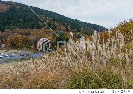 In late autumn, Mt. Mikuru in Akiota Town, Yamagata County, Hiroshima Prefecture, Japan, has begun to lose its leaves and the mountain surface has begun to turn brown. 135910239