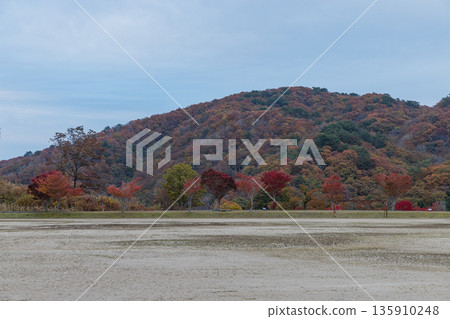 日本:深秋時節,從廣島縣山形郡秋田町的御久留山上望去,山體表面開始變成褐色。 日本:深秋時節,從廣島縣山形郡秋田町的御久留山上望去,山體表面開始變成褐色。 135910248