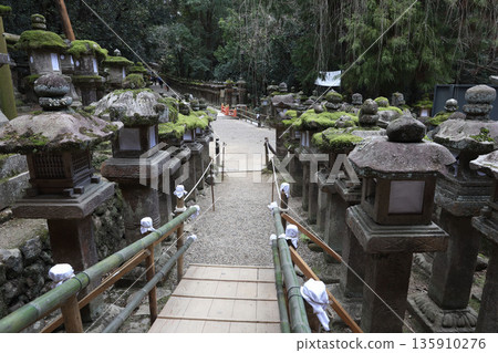 Kasuga Taisha Shrine, Kasugano-cho, Nara City, Nara Prefecture 135910276