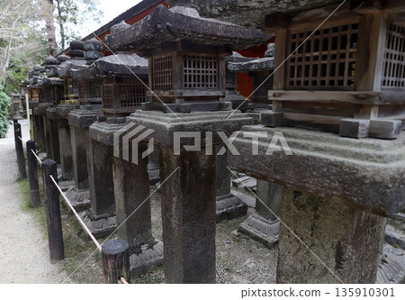 Kasuga Taisha Shrine, Kasugano-cho, Nara City, Nara Prefecture 135910301