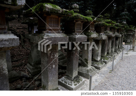 Kasuga Taisha Shrine, Kasugano-cho, Nara City, Nara Prefecture 135910303