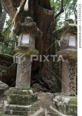 Kasuga Taisha Shrine, Kasugano-cho, Nara City, Nara Prefecture 135910328