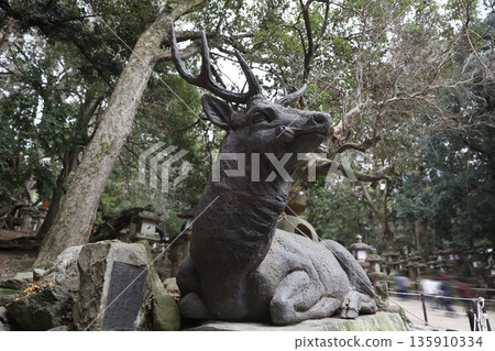Kasuga Taisha Shrine, Kasugano-cho, Nara City, Nara Prefecture 135910334