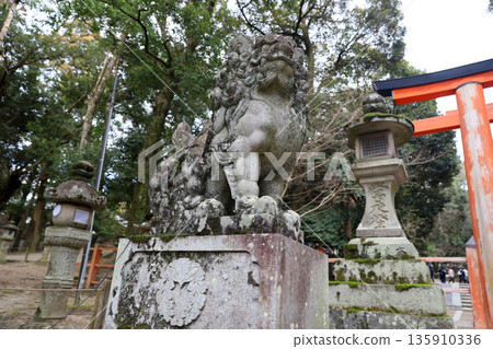 Kasuga Taisha Shrine, Kasugano-cho, Nara City, Nara Prefecture Kasuga Taisha Shrine, Kasugano-cho, Nara City, Nara Prefecture 135910336