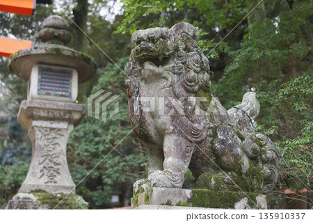 Kasuga Taisha Shrine, Kasugano-cho, Nara City, Nara Prefecture 135910337
