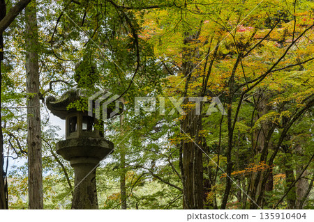 Autumn leaves and lanterns at Buttsuji Temple in Takasakacho, Mihara City, Hiroshima Prefecture, Japan Autumn leaves and lanterns at Buttsuji Temple in Takasakacho, Mihara City, Hiroshima Prefecture, Japan 135910404