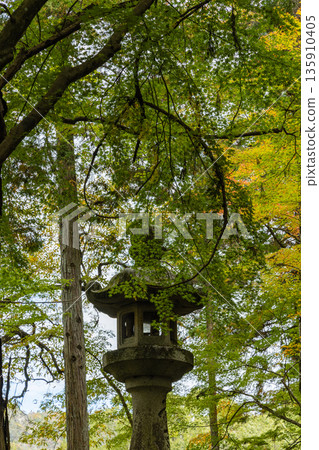 Autumn leaves and lanterns at Buttsuji Temple in Takasakacho, Mihara City, Hiroshima Prefecture, Japan Autumn leaves and lanterns at Buttsuji Temple in Takasakacho, Mihara City, Hiroshima Prefecture, Japan 135910405