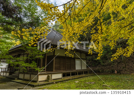 Jizo Hall and yellow ginkgo leaves at Buttsuji Temple in Takasaki-cho, Mihara City, Hiroshima Prefecture, Japan 135910415