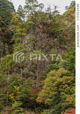 日本廣島縣山形郡秋田町三段峽的河岸邊，秋葉正值盛期。 135910486