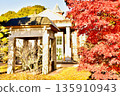 Ito Hirobumi Memorial Park in autumn with red leaves 135910943