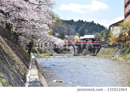 Takayama City, Gifu Prefecture, Japan - During the Takayama Spring Festival, cherry blossoms in full bloom and tourists crossing Nakabashi Bridge, beautiful blue sky, fresh greenery and the Miyagawa River 135911064
