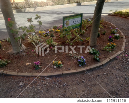 A flower bed in a small park in front of the station where we often meet up A flower bed in a small park in front of the station where we often meet up 135911256