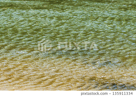 Autumn River: Clear stream blown by autumn wind 112 Autumn River: Clear stream blown by autumn wind 112 135911334