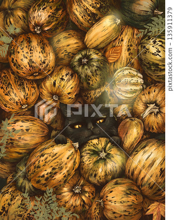 Black Cat Peeking From Pumpkin Patch Black Cat Peeking From Pumpkin Patch 135911379