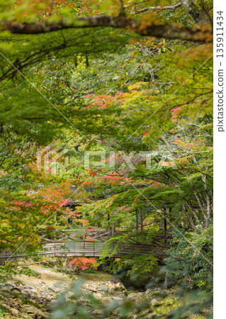 日本廣島縣三原市高坂町佛辻寺的秋葉 135911434