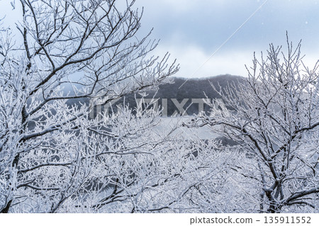 從赤城山上覆蓋著霜雪的地藏岳登山道到完全冰封的小沼池 135911552