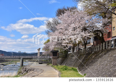 岐阜縣高山市-櫻花盛開,碧空如洗,櫻山八幡神社高大的鳥居和宮前橋巍然聳立,宮川蜿蜒流淌於城市之中,周圍的街道也美不勝收。 岐阜縣高山市-櫻花盛開,碧空如洗,櫻山八幡神社高大的鳥居和宮前橋巍然聳立,宮川蜿蜒流淌於城市之中,周圍的街道也美不勝收。 135911616